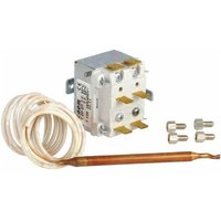 Riello - Thermostat mit Begrenzer : 4050671 von RIELLO