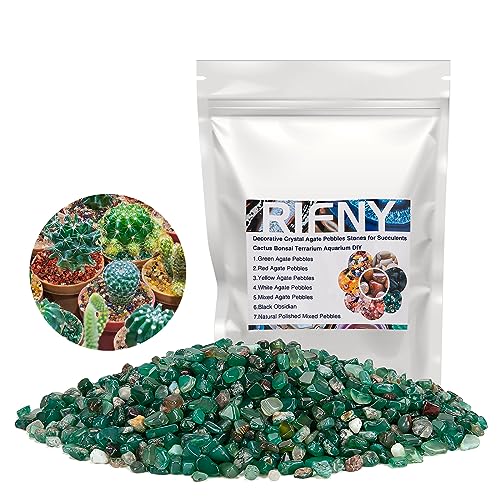 RIFNY Kieselsteine, Dekosteine Achat Kies Deko für Garten Blumentopf Pflanzen Sukkulenten Kaktus, Aquarium Kies Steine (680g, Grün) von RIFNY