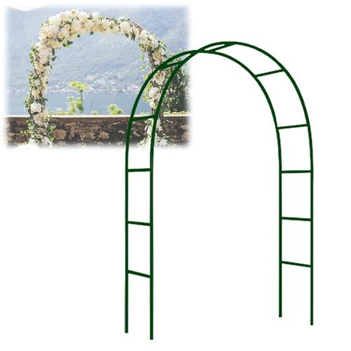 Schwer Rosenbogen, Metall Stabil Torbogen, 140x230cm 180x220cm 80x200cm, Verzinkt Gartenbogen, Pergola, for Kletterpflanzen Freistehend Pflanzen Rankhilfe Rankgitter Rosengestell Rankbogen(Color:Green von RIFWOVE