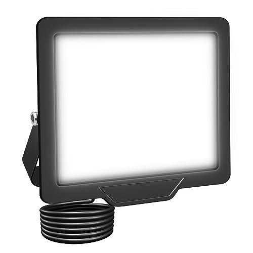 RIGIDON LED Strahler Außen 10W 1000LM LED Scheiwerfer 6000K Kaltweiß IP66 Wasserdicht Außenstrahler fluter Aussenstrahler Außenstrahler außenlampe für Hinterhof Auffahrt Türen Garage Flur Garten von RIGIDON