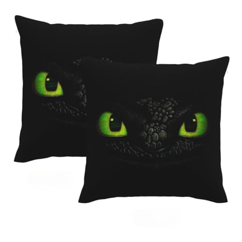 RIKCAT 2er Set Kissenbezug 40x40 Schwarz Kissenfüllung 40x40 Kissenbezüge 40x40 Kuschelkissen Kinderzimmer Deko Kissen (Schwarz,45x45cm (18x18zoll)) von RIKCAT