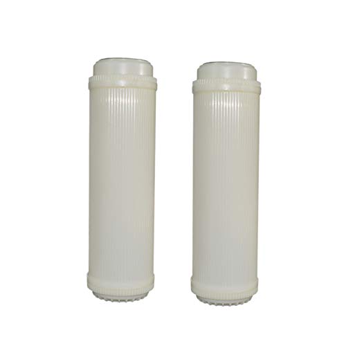 RIKEL 2PCS 10 Flache UF-Hohlfaser-Ultrafiltrationsmembranen Filter 0,01 Mikrometer High Flow Membran UF Trocken von RIKEL