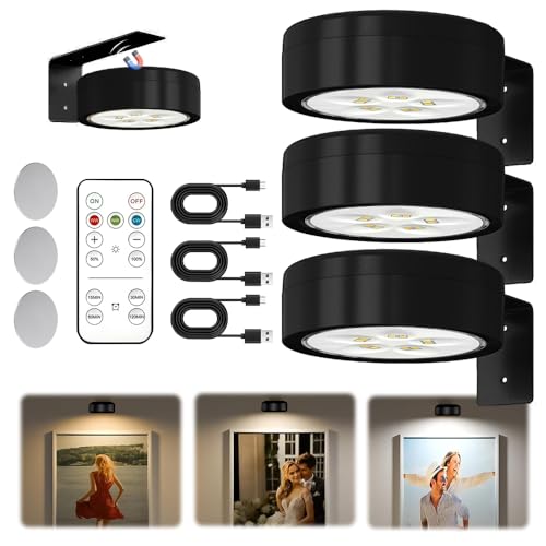 RIRIDAMAI Lichterkette,Bildbeleuchtung mit Fernbedienung, 3 Stück Magnetisches LED Bilderleuchte Dimmbar & Wiederaufladbar, Bild Licht 3 Lichtfarben, Bilderrahmen Licht, Fenstersilhouette (Schwarz) von RIRIDAMAI