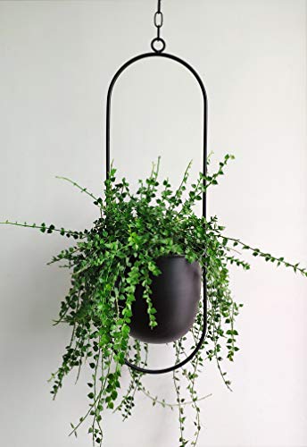 RISEON Schwarzer Metall-Pflanzenaufhänger, Boho-Stil, Wand- und Deckenhänger, moderner Übertopf, minimalistischer Übertopf für Innen- und Außendekoration Oval Shape schwarz von RISEON