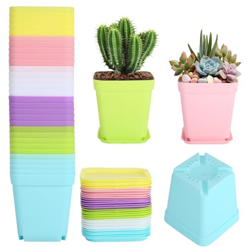 RISF 30 Stück Anzuchttöpfe 7 cm Bunt, Kunststoff Vierkant Mini Töpfe 6 Farben, Pflanztöpfe mit Unterlage, Kleine Blumentöpfe für Samen, Sukkulenten, Setzlinge RISF 30 Stück Anzuchttöpfe 7 cm Bunt, Kunststoff Vierkant Mini Töpfe 6 Farben, Pflanztöpfe mit Unterlage, Kleine Blumentöpfe für Samen, Sukkulenten, Setzlinge von RISF
