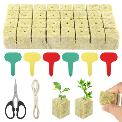 RISF 32 Stück Steinwolle Anzucht, 3 * 3 * 4cm Steinwolle Würfel, Bodenloser Anbau Rockwool Cube, Steinwolle Anzuchtmatte mit Pflanzschilder, Schere und Baumwollfaden für Hydroponik, Stecklinge RISF 32 Stück Steinwolle Anzucht, 3 * 3 * 4cm Steinwolle Würfel, Bodenloser Anbau Rockwool Cube, Steinwolle Anzuchtmatte mit Pflanzschilder, Schere und Baumwollfaden für Hydroponik, Stecklinge von RISF