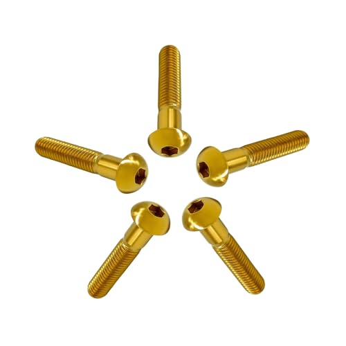 RISON 5 Stück Titan Linsenkopfschrauben mit Innensechskant M8x30mm, Teilgewinde Halbrundkopfschraube aus Titan GR5, Flachkopfschraube Linsenschraube Knopfschraube Rundkopf Schrauben von RISON-Titanium