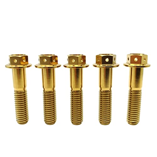 RISON Titanium Bolzen M10x1.25x30mm Titan Flansch Schrauben TC4 Titan Schrauben Sechskantschraube golden GR5 Titan Bolzen 5 Stück von RISON-Titanium