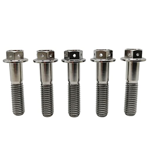 RISON Titanium Bolzen M10x1.25x45mm Titan Flansch Schrauben TC4 Titan Schrauben Sechskantschraube Titanlegierungurfarbe GR5 Titan Bolzen 5 Stück von RISON-Titanium