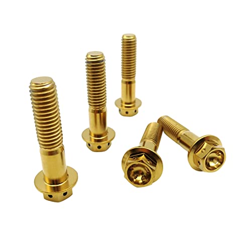 RISON Titanium Bolzen M10x1.25x65mm Titan Flansch Schrauben TC4 Titan Schrauben Sechskantschraube golden GR5 Titan Bolzen 5 Stück von RISON-Titanium