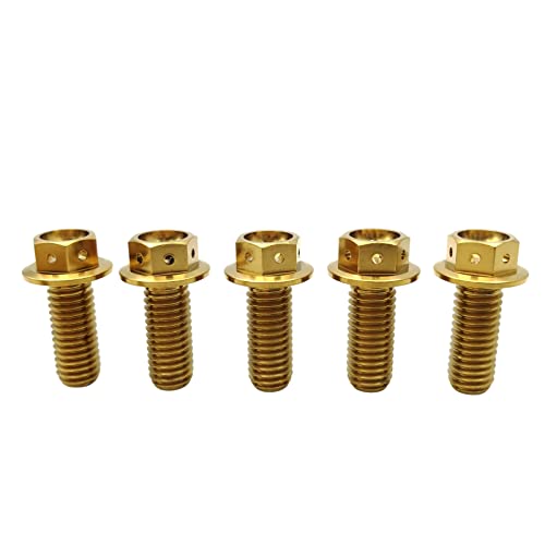 RISON Titanium Bolzen M6x1.0x15mm Titan Flansch Schrauben TC4 Titan Schrauben Sechskantschraube golden GR5 Titan Bolzen 5 Stück von RISON-Titanium