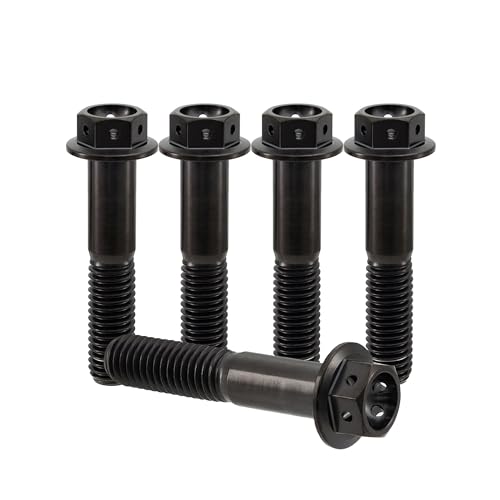 RISON-Titanium 5 Stück Titanschrauben M6x1.0x20mm, Titan Flansch Schrauben Sechskantschraube, Titan Schrauben Gebohrter Bolzen Bremssattelschraube Motorradschrauben Autoschrauben von RISON-Titanium