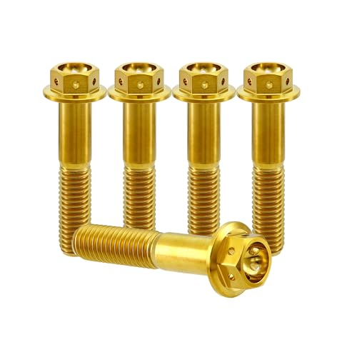 RISON Titanium Bolzen M6x1.0x40mm Titan Flansch Schrauben TC4 Titan Schrauben Sechskantschraube golden GR5 Titan Bolzen 5 Stück RISON Titanium Bolzen M6x1.0x40mm Titan Flansch Schrauben TC4 Titan Schrauben Sechskantschraube golden GR5 Titan Bolzen 5 Stück von RISON-Titanium