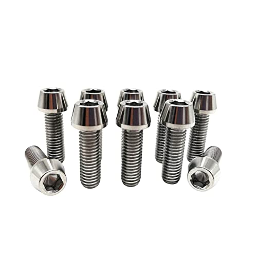 RISON Titanium Bolzen M8x1.25x25mm konischer Innensechskant Schrauben GR5 Schrauben TC4 Innensechskant Bolzen Titanlegierungurfarbe Sechskant Innensechskantschrauben für Fahrradvorbau 5 Stück von RISON-Titanium
