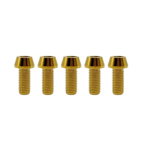 RISON Titanium Bolzen M8x1.25x30mm konischer Innensechskant Schrauben GR5 Schrauben TC4 Innensechskant Bolzen golden Sechskant Innensechskantschrauben für Fahrradvorbau 5 Stück RISON Titanium Bolzen M8x1.25x30mm konischer Innensechskant Schrauben GR5 Schrauben TC4 Innensechskant Bolzen golden Sechskant Innensechskantschrauben für Fahrradvorbau 5 Stück von RISON-Titanium