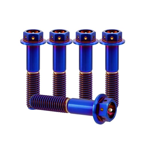 RISON-Titanium 5 Stück Titanschrauben M8x1.25x35mm, Titan Flansch Schrauben Sechskantschraube, Titan Schrauben Gebohrter Bolzen Bremssattelschraube Motorradschrauben Autoschrauben von RISON-Titanium