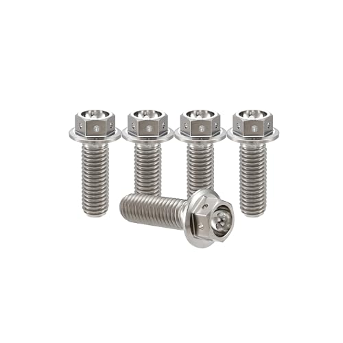 RISON-Titanium Titanschrauben Bremssattelschrauben Bolzen M8x1.25x20mm Titan Flansch Schrauben TC4 Titan Schrauben Sechskantschraube Titanlegierungurfarbe GR5 Titan Bolzen 5 Stück von RISON-Titanium
