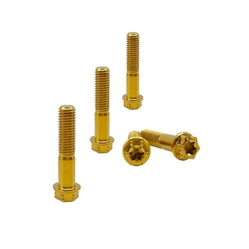 RISON-Titanium Titanschrauben M6x1.0x25mm, 5 Stück Flanschschraube Torx Kopf Flansch Schrauben Sechskantschrauben Gewindeschrauben GR5 Titanbolzen Befestigungen für Motorräder Fahrrad Auto RISON-Titanium Titanschrauben M6x1.0x25mm, 5 Stück Flanschschraube Torx Kopf Flansch Schrauben Sechskantschrauben Gewindeschrauben GR5 Titanbolzen Befestigungen für Motorräder Fahrrad Auto von RISON-Titanium