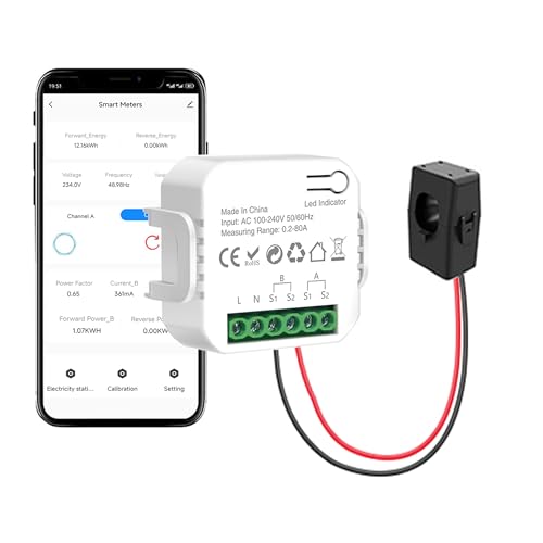 WiFi Smart Stromzähler: Smart Home Meter Energiemonitor mit 80A CT-Klemme und Kalibrierungsfunktion, Kompatibel mit Tuya Smart Life App-Fernbedienung, Echtzeit-Strommonitor, 1-Wege von RISOON