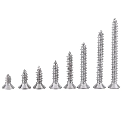 RIZGHWOY 200pcs M3 304 Edelstahl -Selbstkippschrauben Sortiment Kit Holzschrauben Metallschrauben Möbelschrauben mit Pfanne Flachem (Self-Tapping-Schrauben flacher Kopf) von RIZGHWOY
