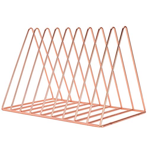 RIZGHWOY Book Regal Robus Metal Desk Datei Lagernregal für Büroschule Home Verwenden Eisen Roségold von RIZGHWOY