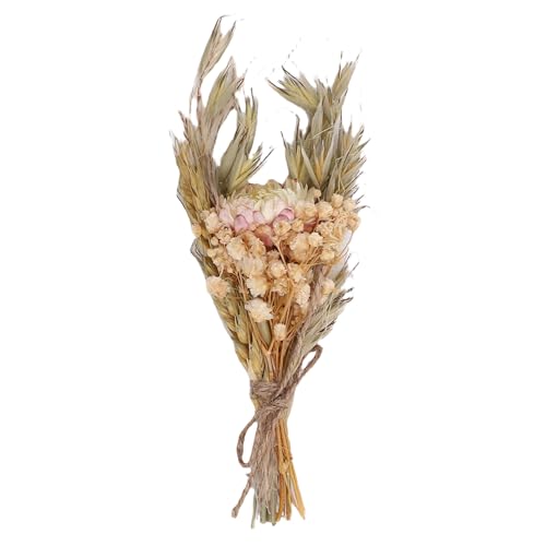 RIZGHWOY Getrocknetes Blumenstrauß Mini Handgefertigtes Brautjungfer Vorschlag Hochzeitshäuser mit Trockenen Blumen Zum Geburtstag Jubiläum Party RIZGHWOY Getrocknetes Blumenstrauß Mini Handgefertigtes Brautjungfer Vorschlag Hochzeitshäuser mit Trockenen Blumen Zum Geburtstag Jubiläum Party von RIZGHWOY