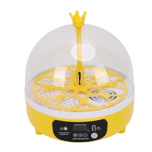 RIZGHWOY Mini -Ei -Inkubator Automatische Smart Temperatur Control Kleine Eier Geflügel -Schlupfmaschine für Zuhause mit Transparentem Deckel Digitalanzeige von RIZGHWOY