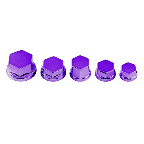 RIZGHWOY Motorradschraube Nussschraube/Befestigungskappe 30pcs Dekorative Abdeckung für Fit für für, Resistantes Stilvolles Motorgetriebe Primär Universal für die Meisten Motorräder (violett) von RIZGHWOY