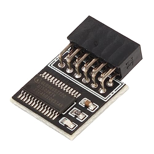 Stabiler 12Pin -LPC -Modul TPM 2.0 Verschlüsselungsprozessor für Bitlocker von RIZGHWOY