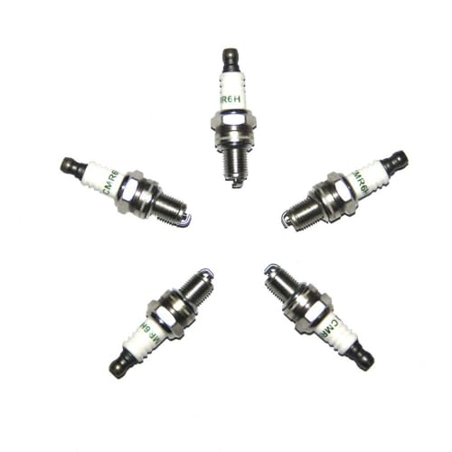 RJXDUPHT Kompatibel mit Kettensägenmodellen CC2245 FC2245 FC2245W CS2252 CS2253 CS2258 CS2260 Zündkerze PN 531008615 574519601 RJXDUPHT Kompatibel mit Kettensägenmodellen CC2245 FC2245 FC2245W CS2252 CS2253 CS2258 CS2260 Zündkerze PN 531008615 574519601 von RJXDUPHT
