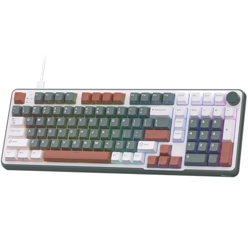 RK ROYAL KLUDGE C98 Magnetische Schalter-Tastatur, RGB, kabelgebunden, Schalter, grün, gemischte Farben von RK ROYAL KLUDGE