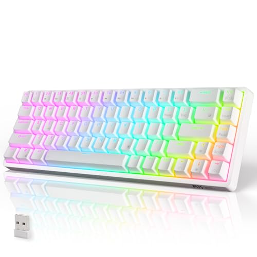 RK ROYAL KLUDGE RK G68 Mechanische Tastatur Kabellose 65% QWERTY US RGB Gaming Tastatur Bluetooth/2.4G/Kabelgebunden PBT-Tastenkappen Abnehmbarer Rahmen Hot Swappable Blauer Schalter, Weiß von RK ROYAL KLUDGE