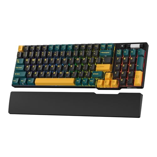 RK ROYAL KLUDGE RK96 RGB Limited Ed, 90% 96 Tasten Kabellose Tri-Modus BT5.0/2.4G/USB-C Hot-Swap-fähige Mechanische Tastatur mit Handballenauflage, Software-Unterstützung, Lineare Schalter, QWERTY von RK ROYAL KLUDGE