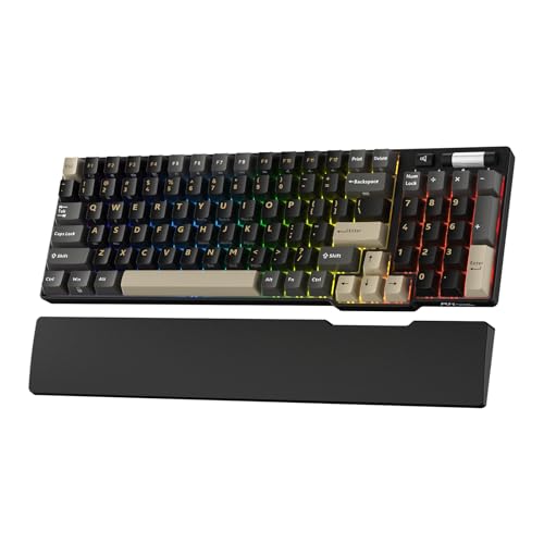 RK ROYAL KLUDGE RK96 RGB Limited Ed, 90% 96 Tasten Kabellose Tri-Modus BT5.0/2.4G/USB-C Hot-Swap-fähige Mechanische Tastatur mit Handballenauflage, Software-Unterstützung, Lineare Schalter, QWERTY von RK ROYAL KLUDGE