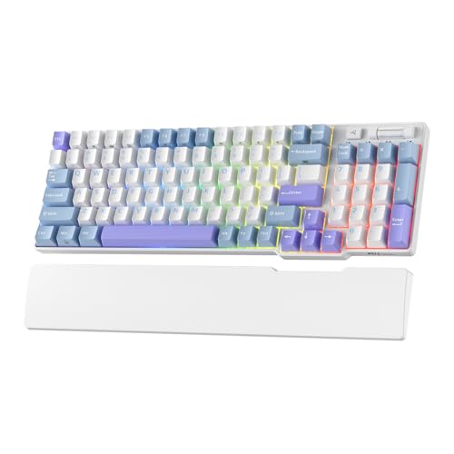 RK ROYAL KLUDGE RK96 RGB Limited Ed, 90% 96 Tasten Kabellose Tri-Modus BT5.0/2.4G/USB-C Hot-Swap-fähige Mechanische Tastatur mit Handballenauflage, Software-Unterstützung, Taktile Schalter, QWERTY von RK ROYAL KLUDGE