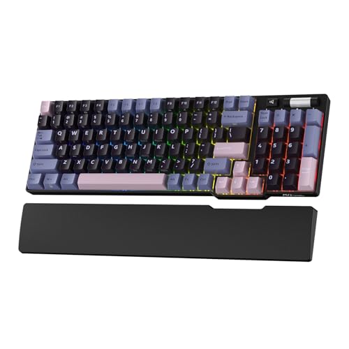 RK ROYAL KLUDGE RK96 RGB Limited Ed, 90% 96 Tasten Kabellose Tri-Modus BT5.0/2.4G/USB-C Hot-Swap-fähige Mechanische Tastatur mit Handballenauflage, Software-Unterstützung, Taktile Schalter, QWERTY von RK ROYAL KLUDGE