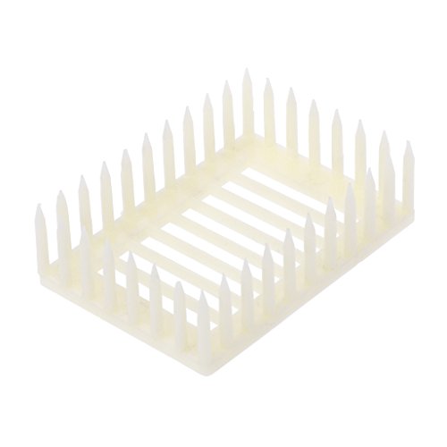 RKJRTK Bienenkeekeeeping Quadratform Fanger Boxzelle Käfig Kunststoff Langlebig Um Langlebige Ungiftige Königin Kleidungs Cupkit Ameisenameisen Und Königin Ameisen Ameisen Für Nest Feeder Für Farms RKJRTK Bienenkeekeeeping Quadratform Fanger Boxzelle Käfig Kunststoff Langlebig Um Langlebige Ungiftige Königin Kleidungs Cupkit Ameisenameisen Und Königin Ameisen Ameisen Für Nest Feeder Für Farms von RKJRTK