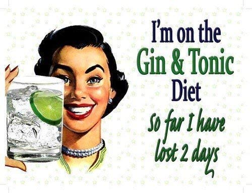 Ich bin auf die Gin & Tonic Ernährung, also weit I have lost 2 Tagen. Lustig zeichen mit 50er jahre damen halten glas Metall/Stahl Wandschild - 9 x 6.5 cm (Magnet) von RKO