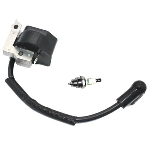 2 stücke Zündspule Modul Zündkerze BM6A Dolmar LT-30 MS-30 MS-31 DST300 DBC300 BrushCutter Trimmer Unkraut Esser Parts369143010 von RKODRSMG