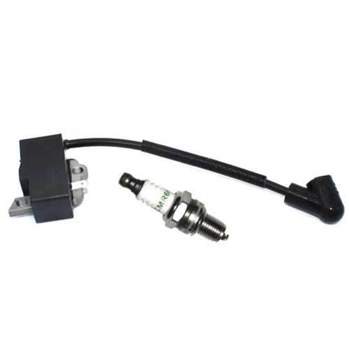 2 stücke Zündspule Modul Zündkerze CMR6H for Stihl FS70 FS70R FS70C FS70RC Brushcutter GrassTrimmer Magneto Teile #41444001319 von RKODRSMG