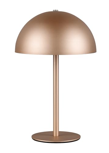 Reality Leuchten LED Akku Tischleuchte Munoz R54891165, Metall Coffee, inkl. 1.3 Watt LED, 4-fach Touch von RL LIVE YOUR LIGHT