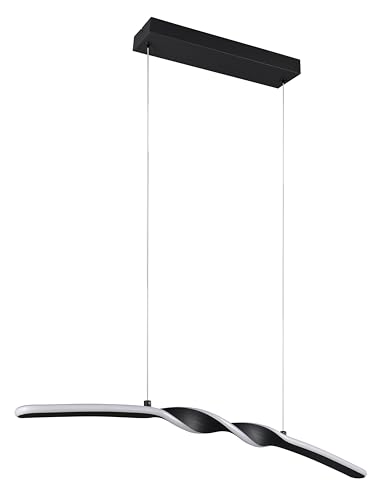 RL LIVE YOUR LIGHT Reality Leuchten LED Pendelleuchte Ginko R35791132, Metall Schwarz matt, inkl. 18 Watt LED von RL LIVE YOUR LIGHT