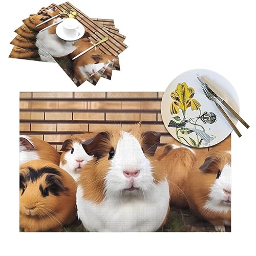 RLDOBOFE PVC Tischsets 4 Stück Hitzebeständige Tischsets Meerschweinchen Gewebte Platzset für Küche Rutschfest Esstisch Platzset Waschbar Tischsets für Couchtisch Outdoor von RLDOBOFE