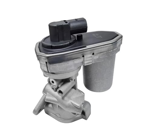 RLFNPHMHX 9665752480 9659694780 1618R5 1466340 8C1Q9D475BA 1480560 1618.HQ 1618HQ 6C1Q9D475AG 71793436 6C1Q9D475AF 71789686 AGR-Ventil von RLFNPHMHX