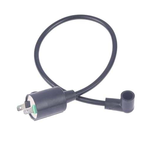 RLVYTA Zündungskabel 25cm Motor Generator Zündspule Fit Für ET950 ET650 GAS Generator Motor Motor Zündkerzen RLVYTA Zündungskabel 25cm Motor Generator Zündspule Fit Für ET950 ET650 GAS Generator Motor Motor Zündkerzen von RLVYTA