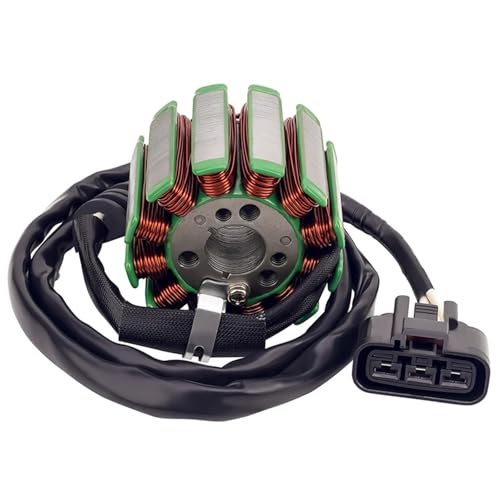 Zündungskabel Motorrad Stator Coil Generator Schwungrad Rotor Dichtung Dichtung Für YAMAHA YZF-R1 04-08 FZ8 FZ8N Zündkerzen(Stator Coil) von RLVYTA