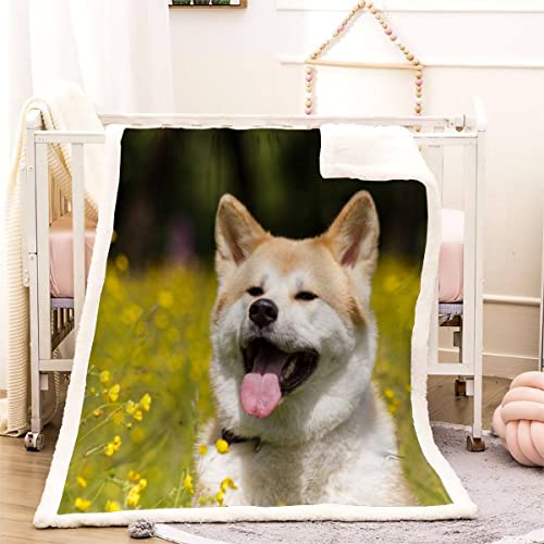 3D Akita-Hund Kuscheldecke 150x200cm Haustier Welpe Flauschige Sherpa Decke Microfaser Warm Weich Fleecedecke Wohndecke Dicke Flanelldecke Sofadecke Couchdecke Kinder Erwachsene Winter von RLYXGS
