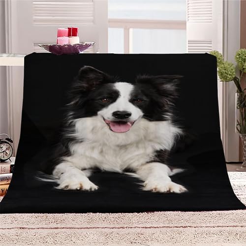 3D Border Collie Kuscheldecke Teenager Jungen Mädchen Hund, Tier Weiche Flauschig Flanelldecke Sherpa Fleecedecke Sommer Warmer Wohndecke Sofa Bett Dekorative Decke 130x150 cm von RLYXGS