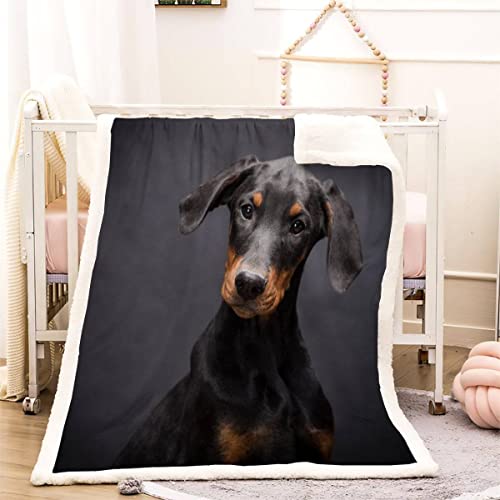 3D Dobermann Pinscher Kuscheldecke 150x200cm Haustier Hund Flauschige Sherpa Decke Microfaser Warm Weich Fleecedecke Wohndecke Dicke Flanelldecke Sofadecke Couchdecke Kinder Erwachsene Winter von RLYXGS