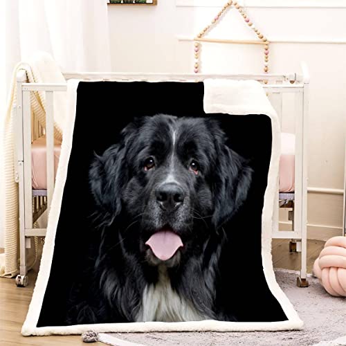 3D Neufundländer Kuscheldecke 150x200cm Haustier Hund Flauschige Sherpa Decke Microfaser Warm Weich Fleecedecke Wohndecke Dicke Flanelldecke Sofadecke Couchdecke Kinder Erwachsene Winter von RLYXGS